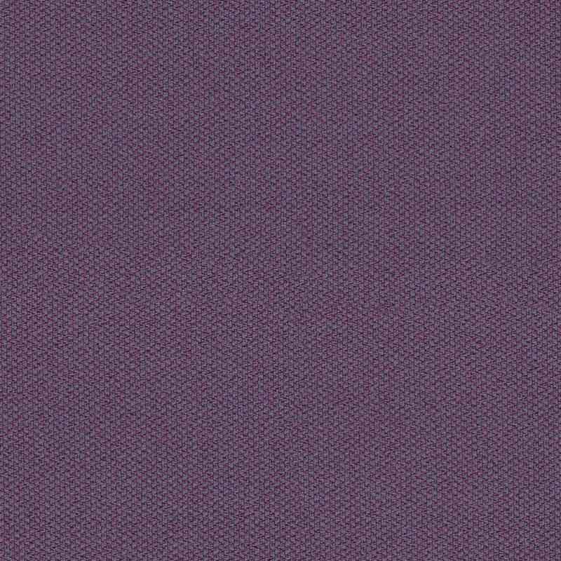 44 purple