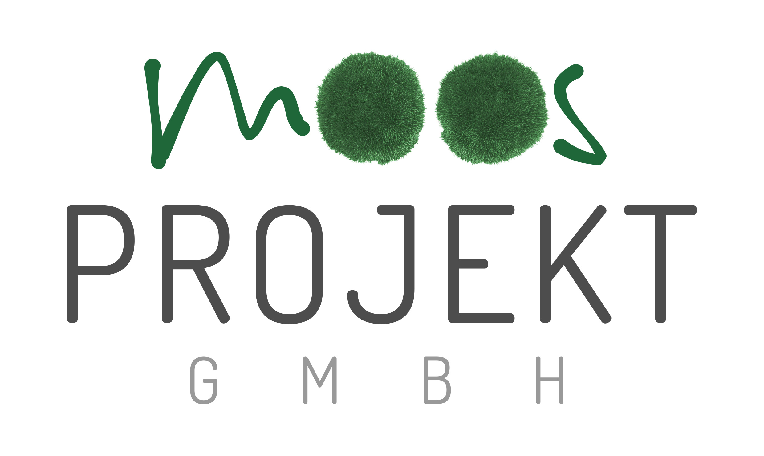 Logo AS Hydroplant Moos Projekt GmbH