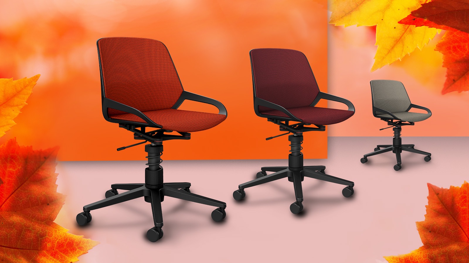 Angebots-Motiv_Herbst_2024_3x_Numo_Task_Feder_schwarz